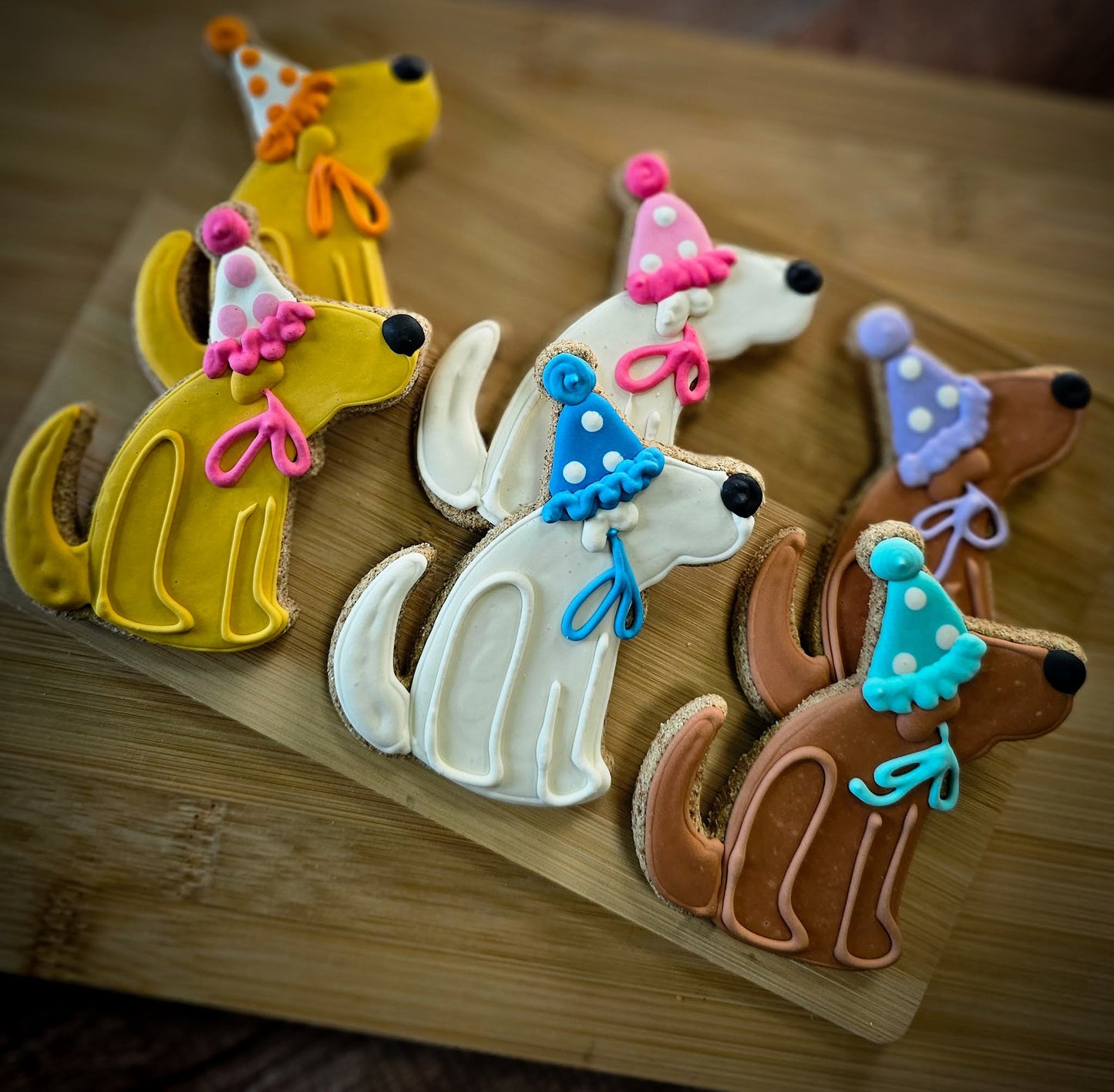 Birthday Celebration Dog Cookie | Qty 12 Wholesale