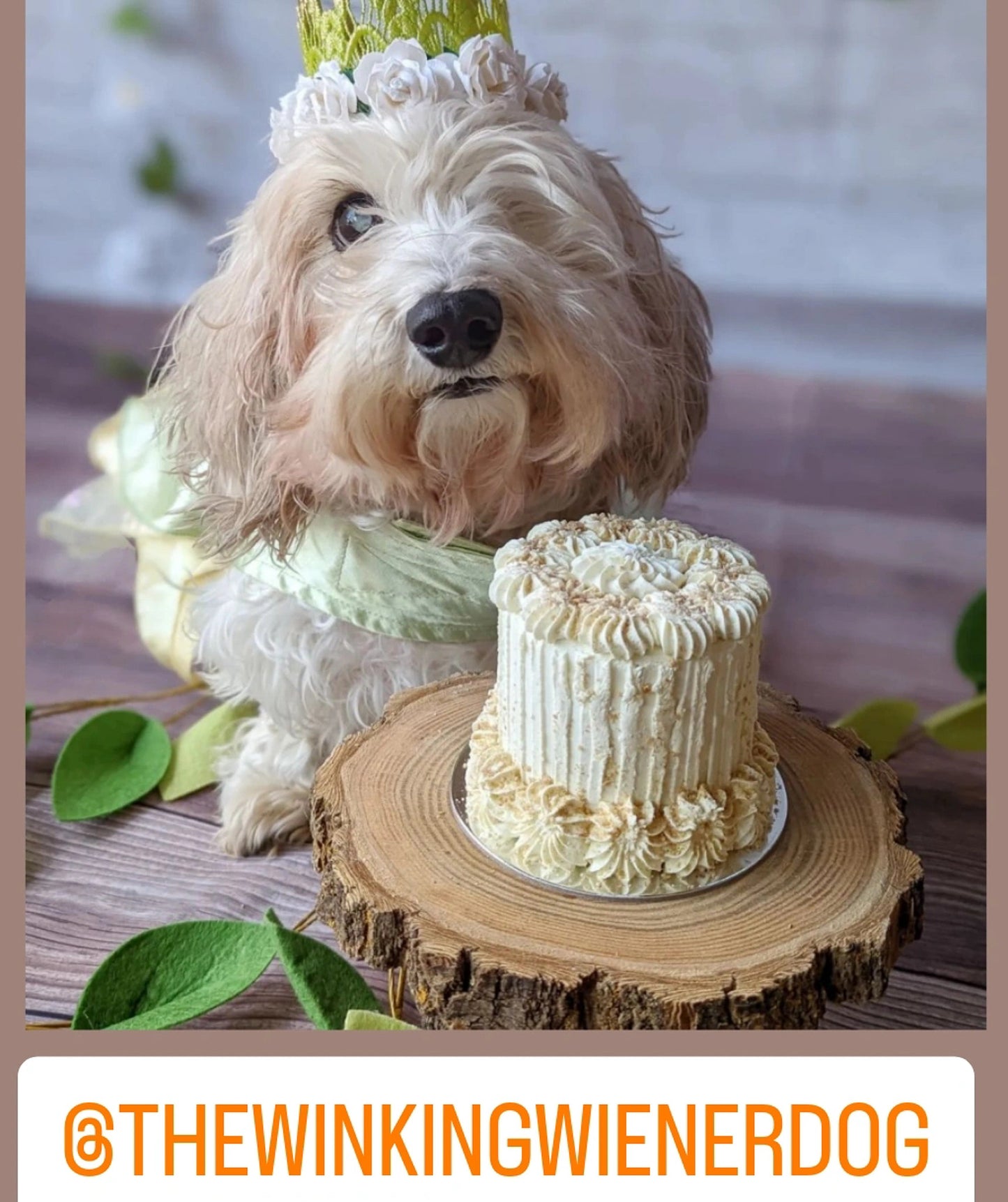 Bone Apple-tite dog cake | 2 Size Options