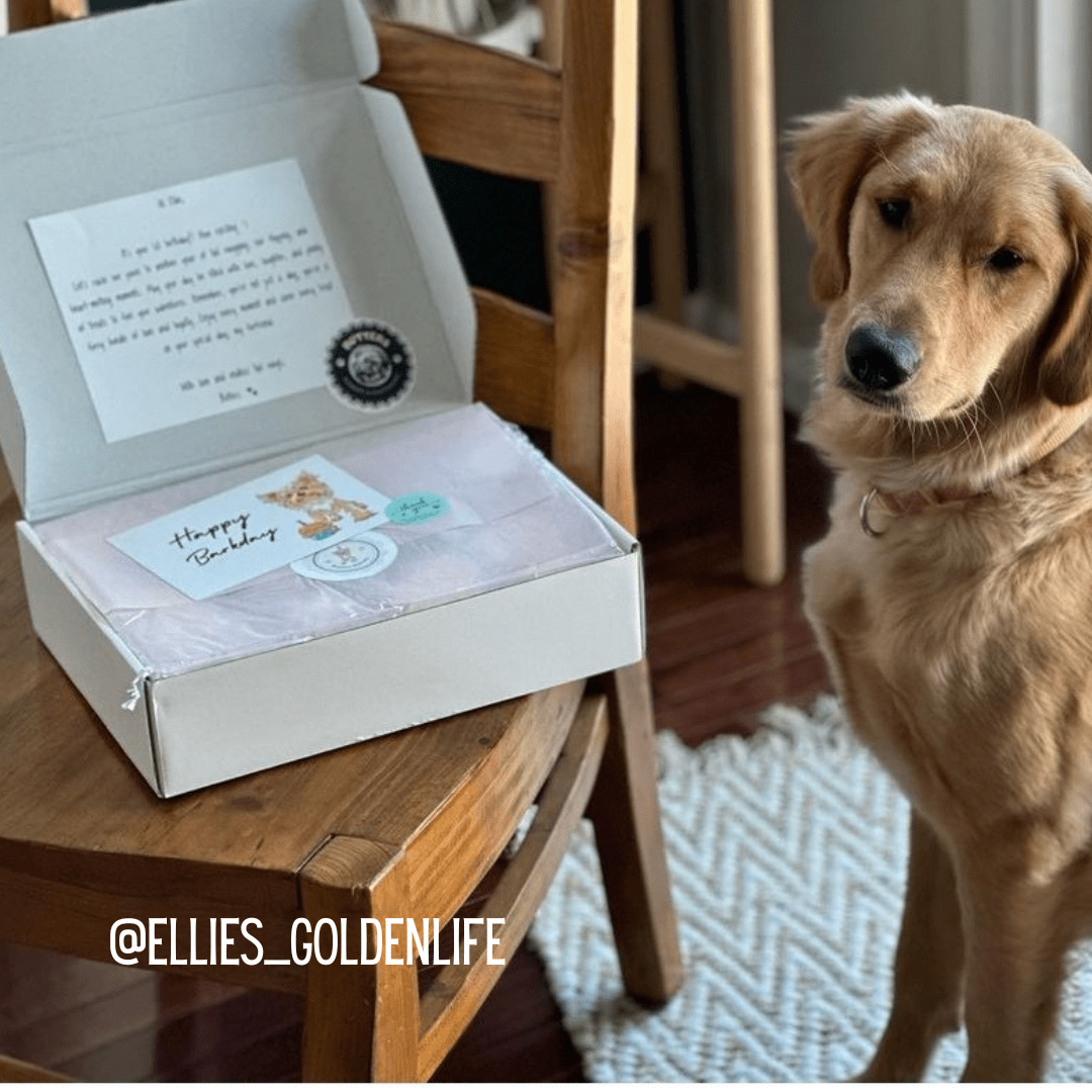 Dog Birthday Dog Treat Gift Box