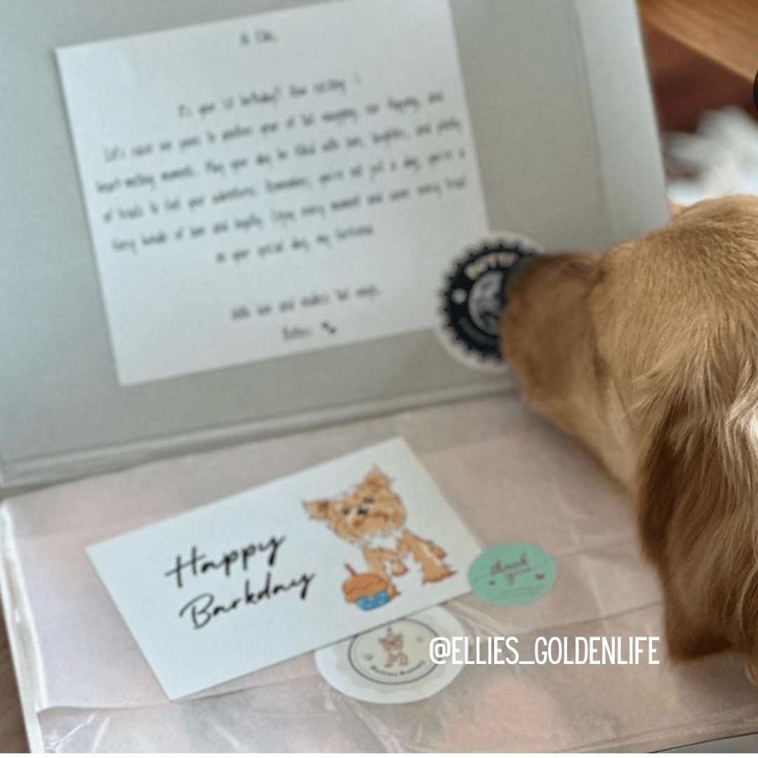 Dog Birthday Dog Treat Gift Box